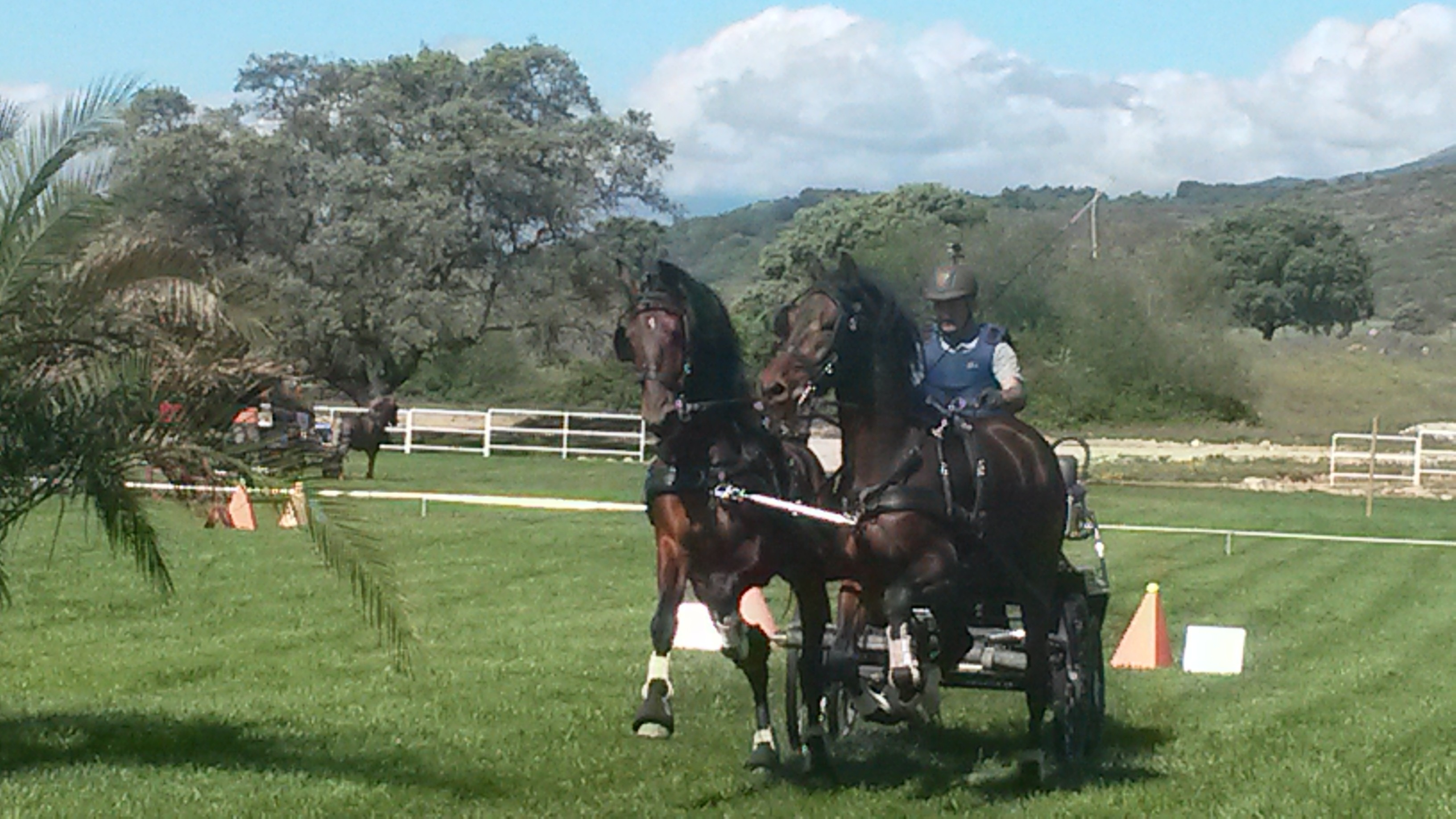 El equipo navarro de enganches destac&oacute; en el concurso Indoor finca el Quemado en Arenas de San Pedro (&Aacute;vila)